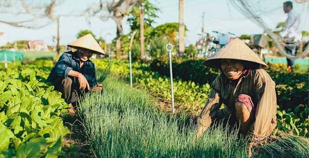 Quitter la vieille ville pour rencontrer un autre Hoi An
