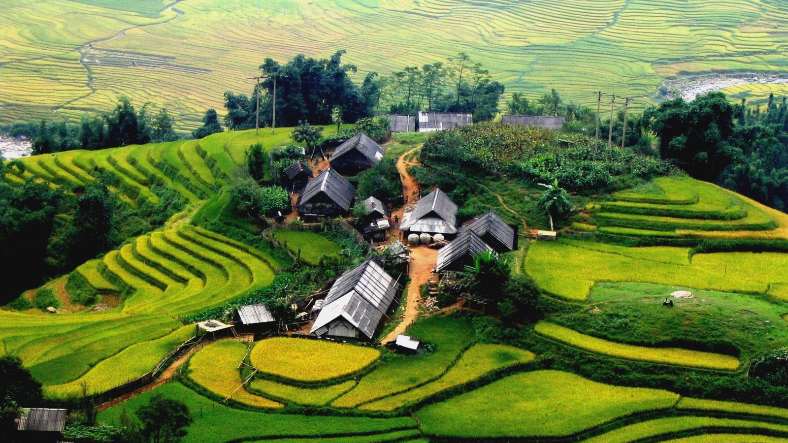 Muong Hoa, une vallée façonnée par les rizières