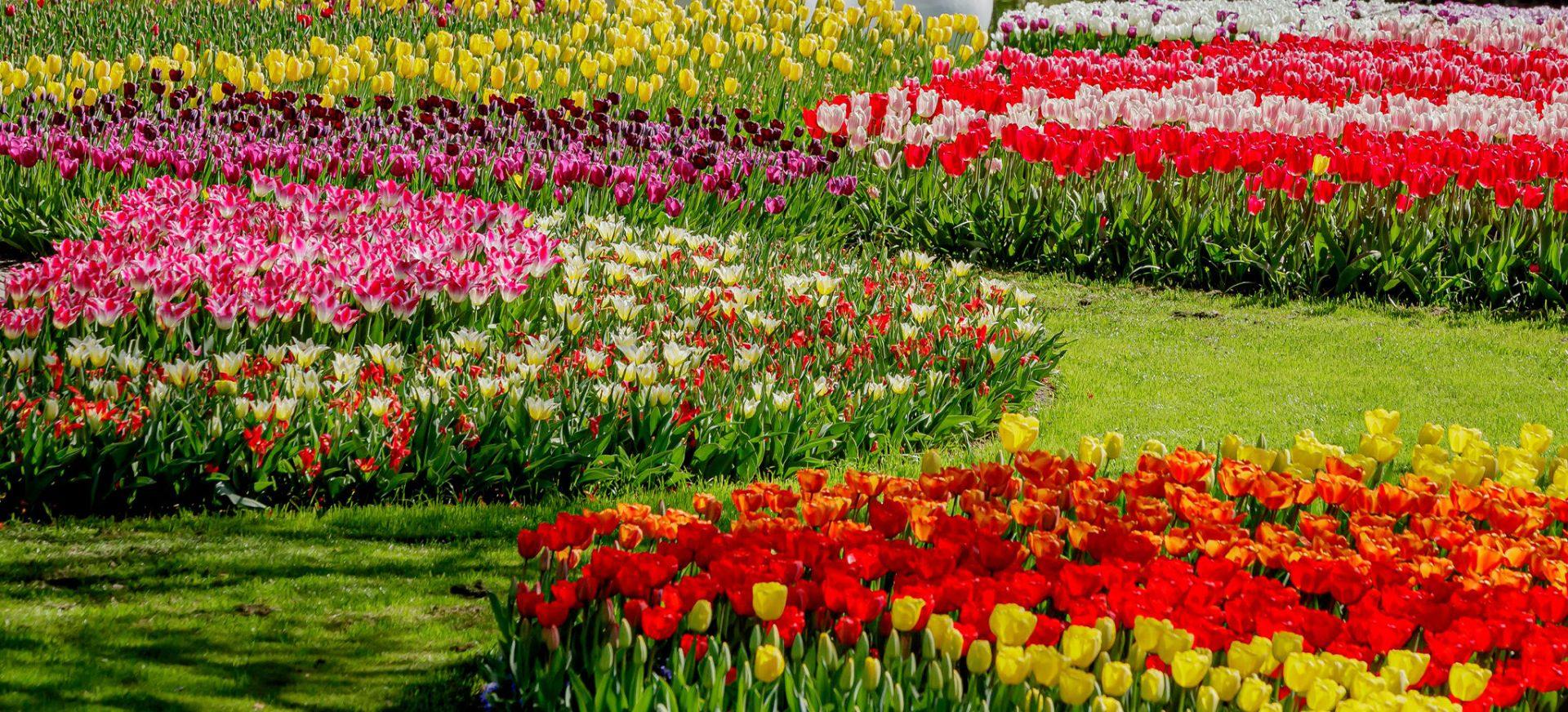 Découvrir les jardins et les cultures florales