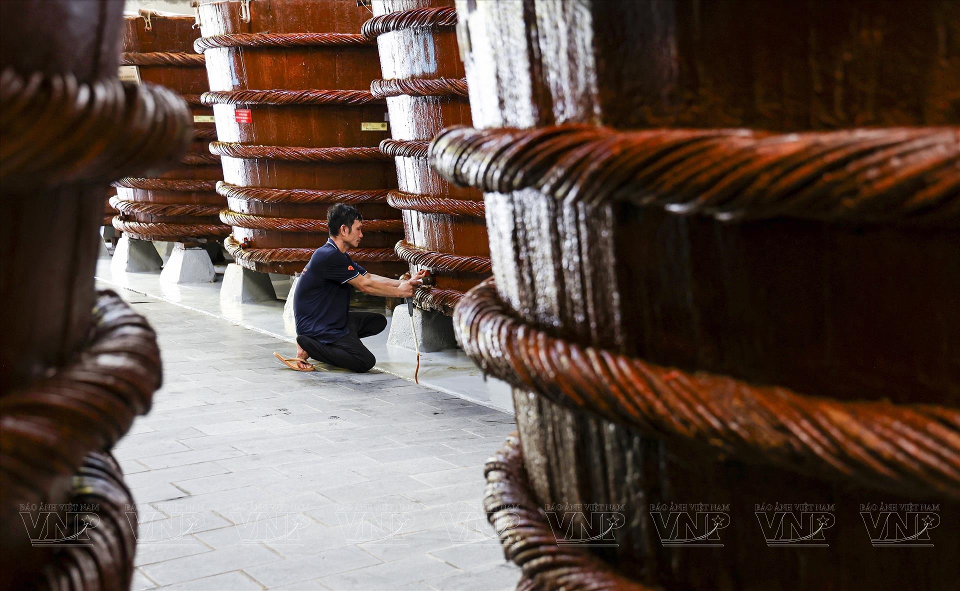 Visiter les plantations de poivre et les fabriques de nuoc mam