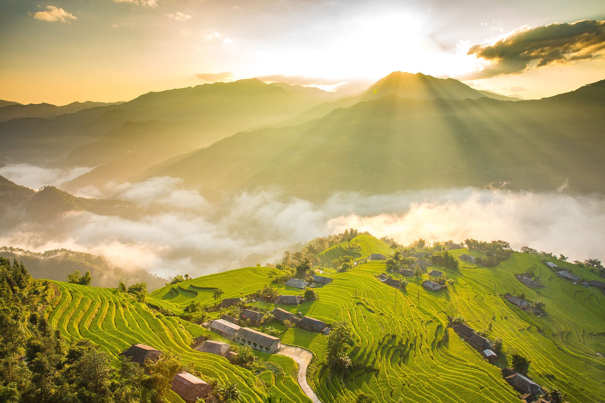 HOANG SU PHI