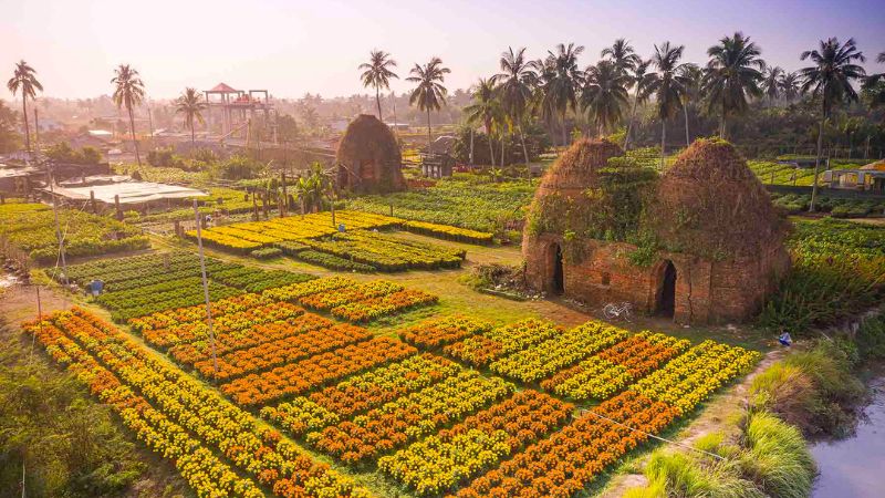 Découvrir les pépinières et les jardins de Cho Lach