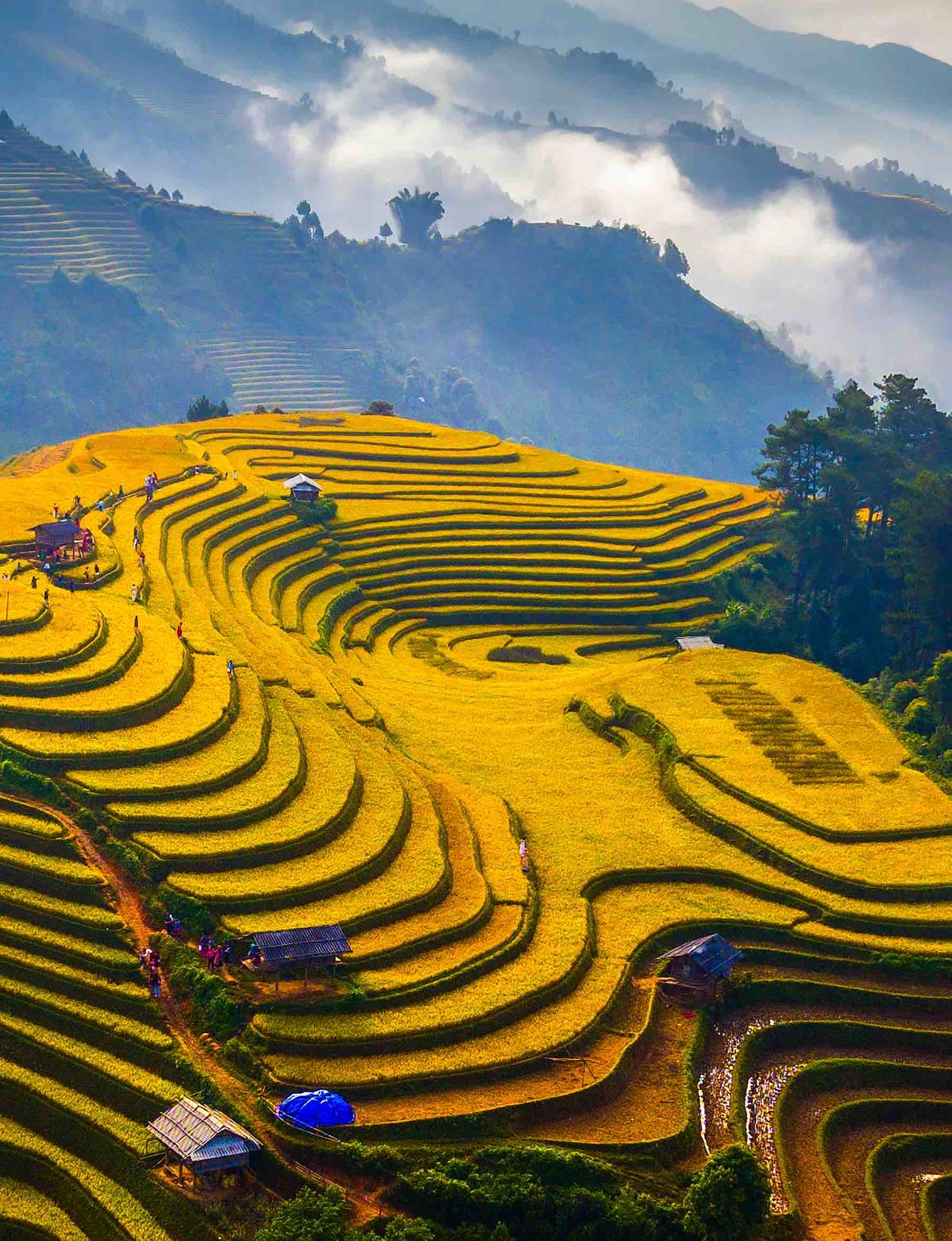 Découvrir la vallée de Muong Lo