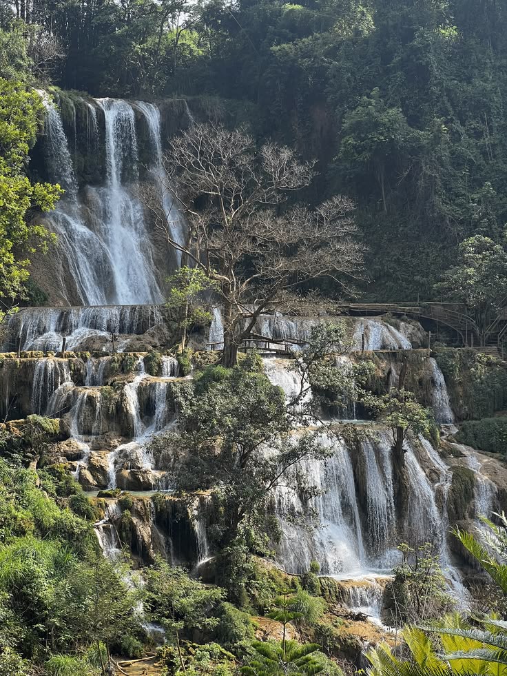 Découvrir la cascade de Dai Yem