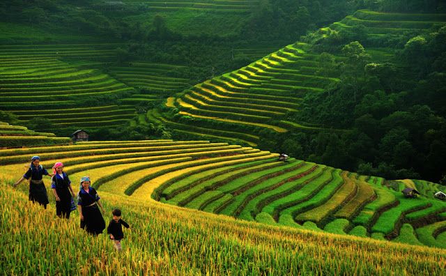 Bac Ha