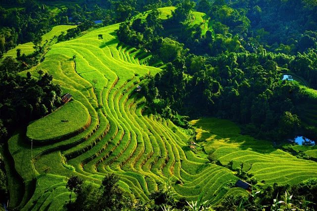 Lao Cai