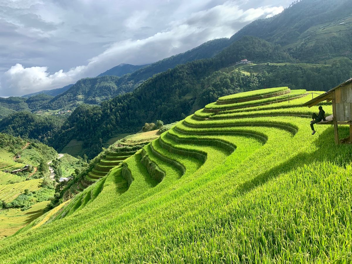 Découvrir les rizières en terrasses de Mu Cang Chai