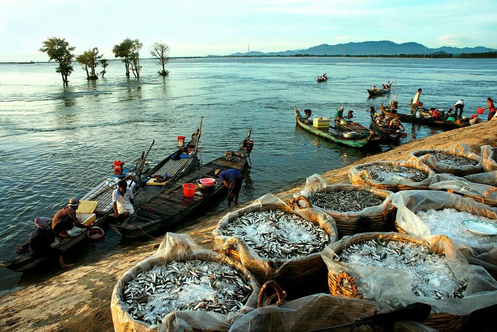 Découvrir le village de pêcheurs de Cai Beo
