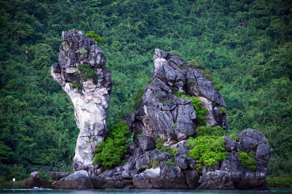 Explorer le parc national de Bai Tu Long