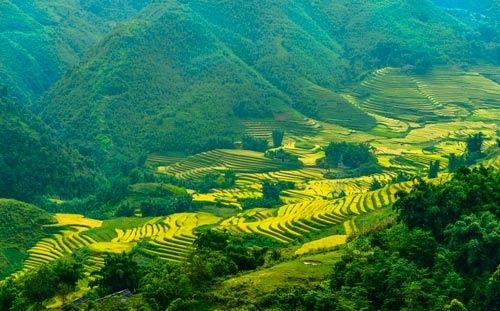 Découvrir les paysages de la vallée de Muong Hoa