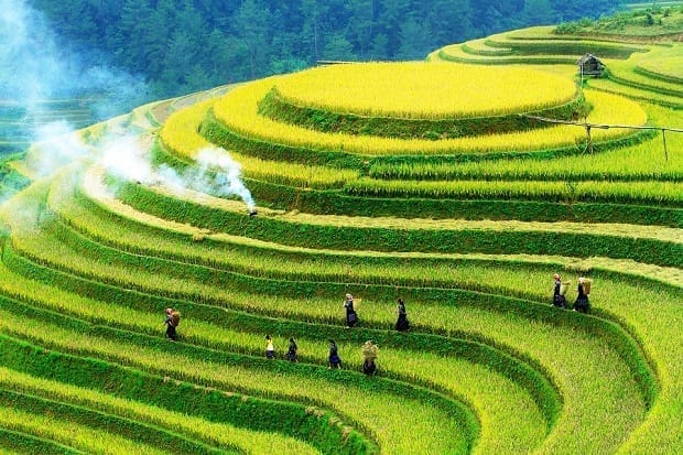 Les rizières en terrasses de Mu Cang Chai