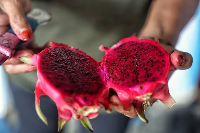Le fruit du dragon – Une explosion de couleurs