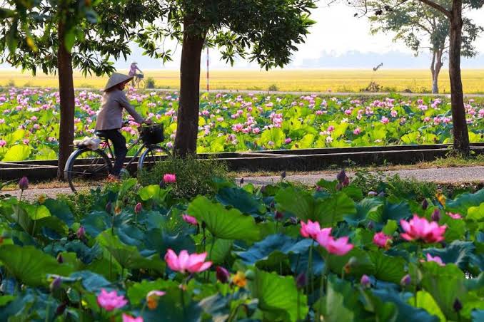 Le Centre : Hué, Hoi An et Da Nang
