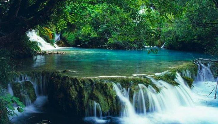 Le parc national de Bach Ma